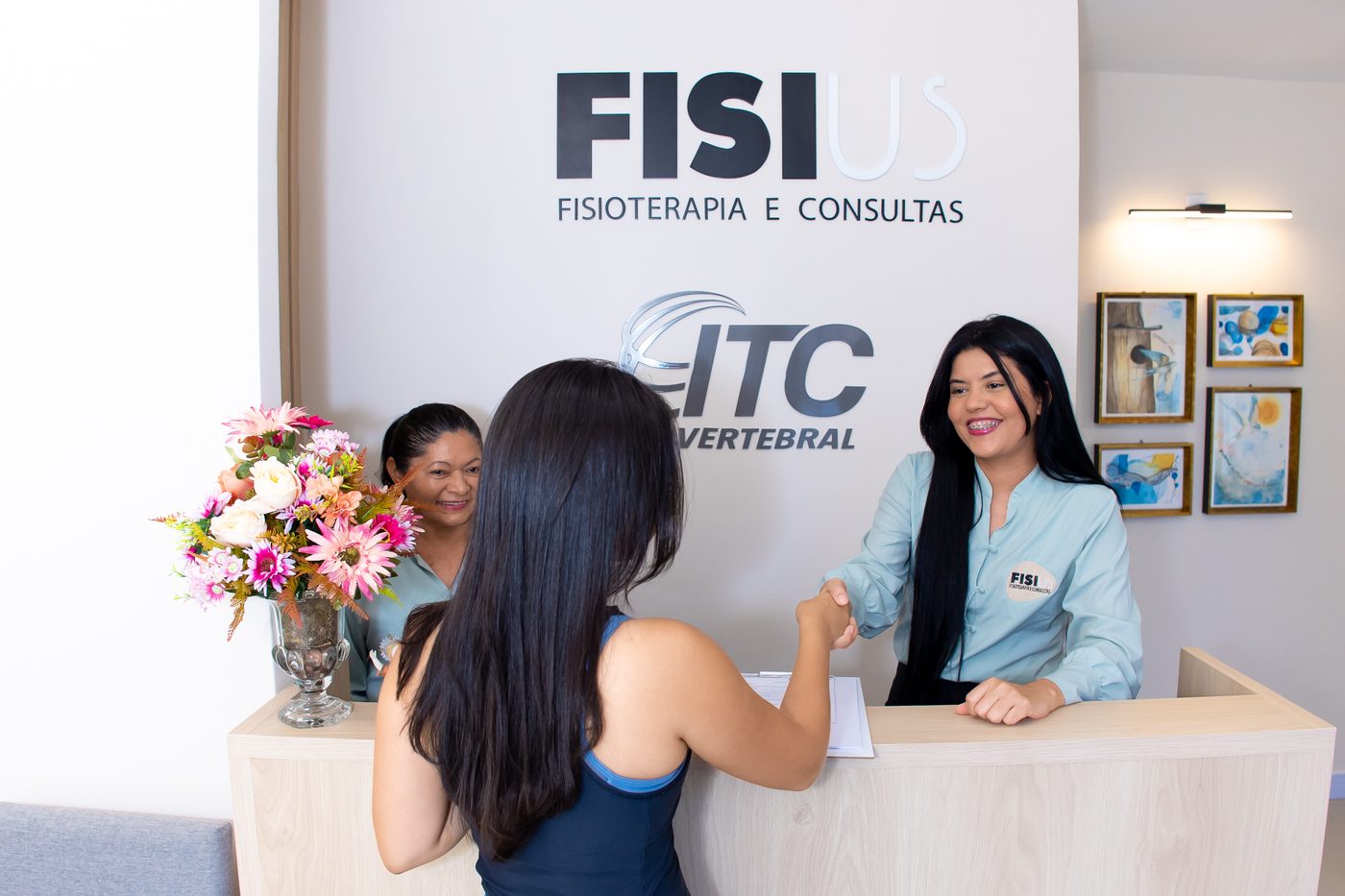 Recepção da Fisius ITC Vertebral